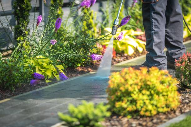 Best Winterizing Services  in Wade, MS